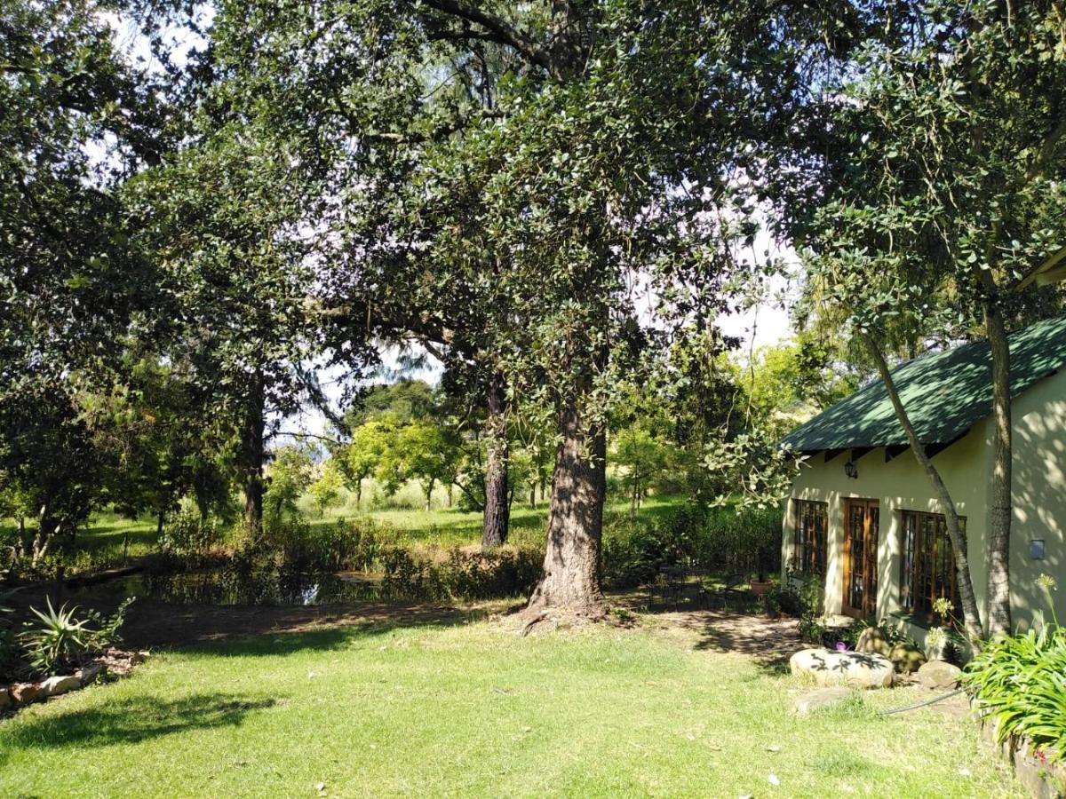 Villa Tegwaan Country Getaway Waterval Boven Habitación foto