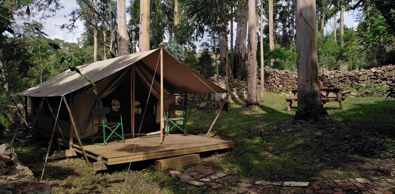 Villa Tegwaan Country Getaway Waterval Boven Exterior foto