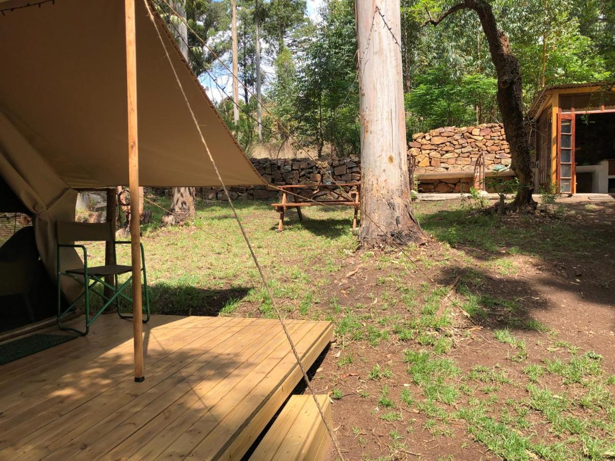 Villa Tegwaan Country Getaway Waterval Boven Exterior foto
